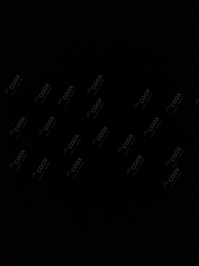 Happy Moment by COOX