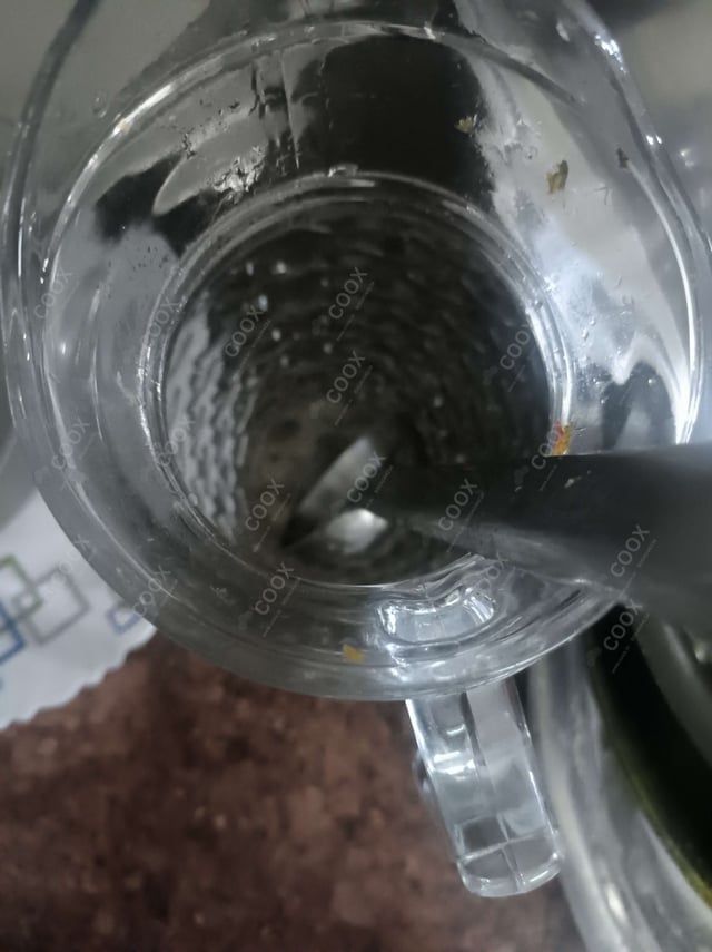 Delicious Virgin Mojito prepared by COOX