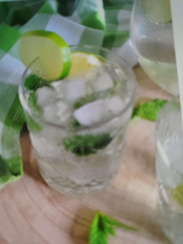 Delicious Virgin Mojito prepared by COOX