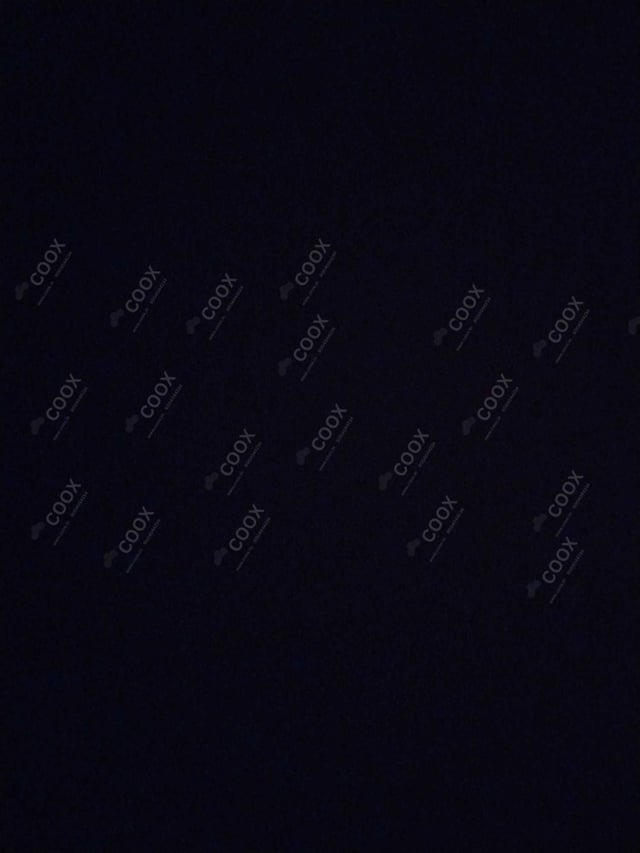 Happy Moment by COOX