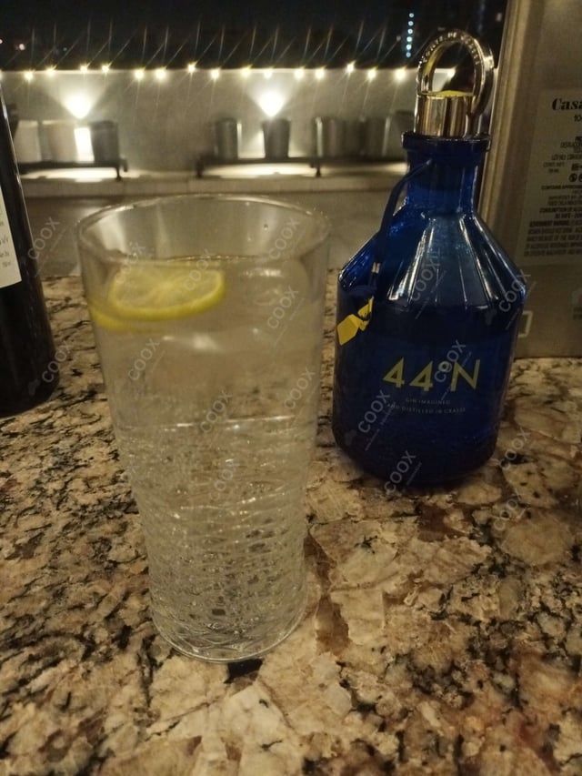 Tasty Gin & Tonic cooked by COOX chefs cooks during occasions parties events at home