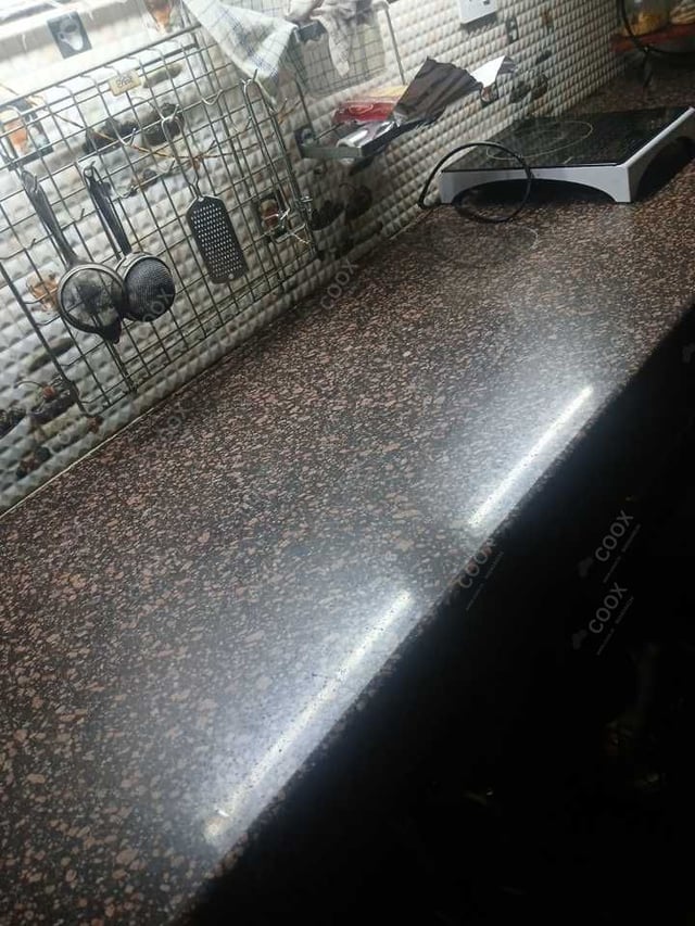 Happy Moment by COOX