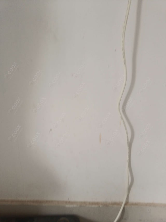 Delicious Chilli Lotus Stem prepared by COOX