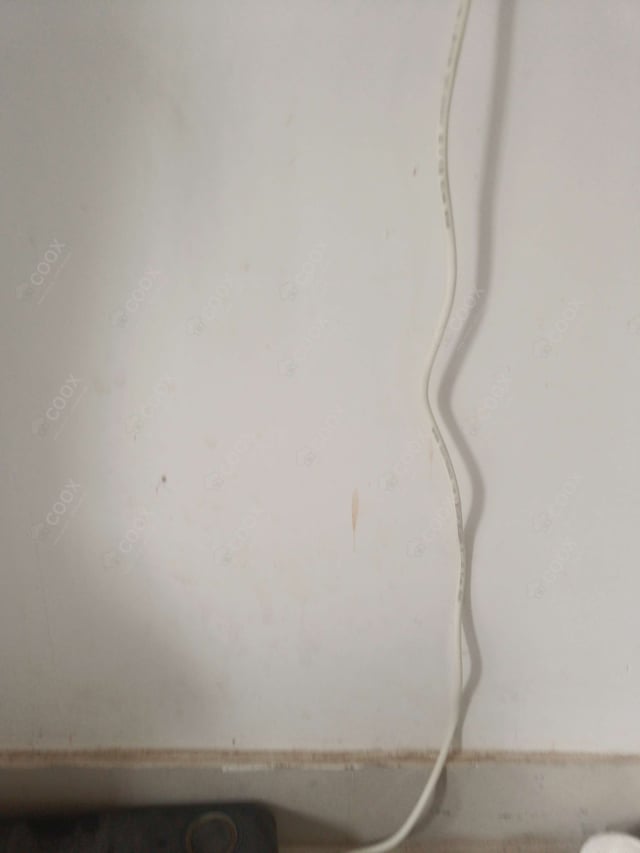 Delicious Fruit Custard prepared by COOX