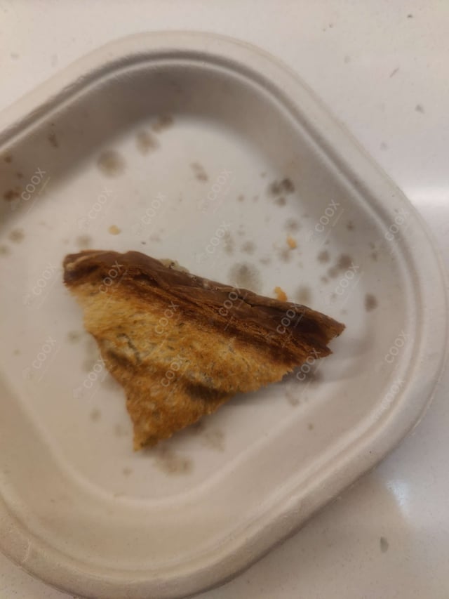 Delicious Veg Grilled Sandwiches prepared by COOX