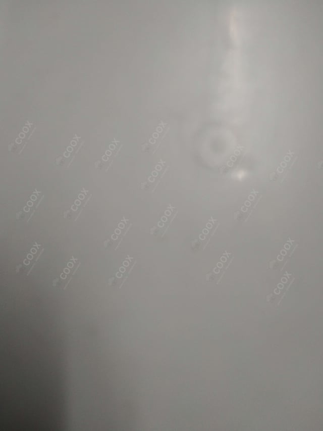 Delicious French Fries prepared by COOX