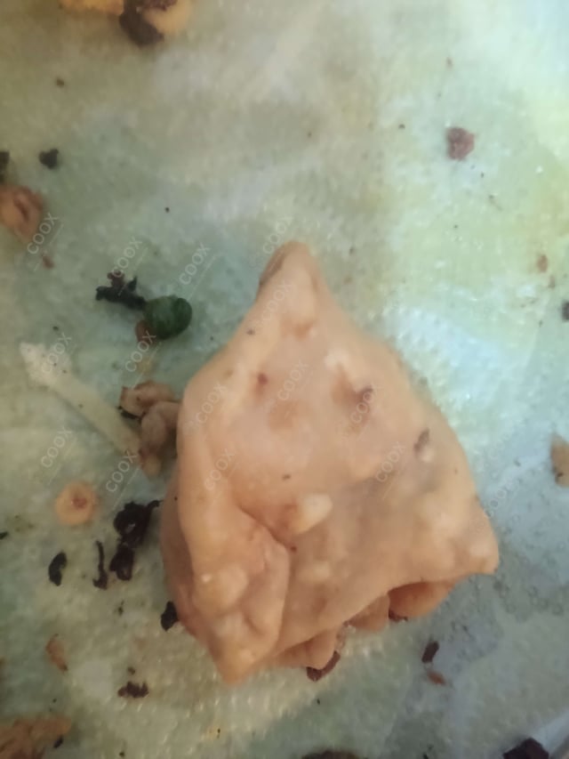 Delicious Mini Samosas prepared by COOX