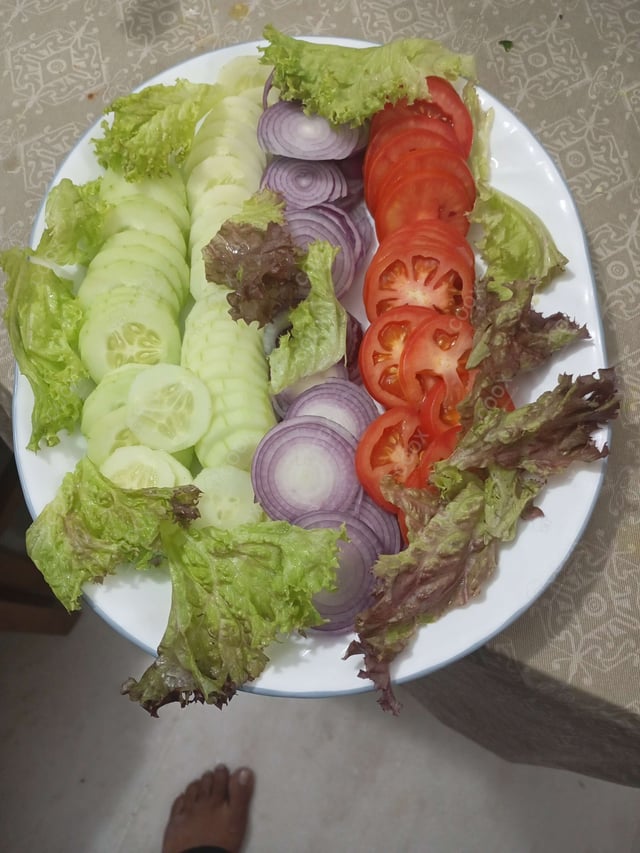 Delicious Garden Fresh Salad prepared by COOX