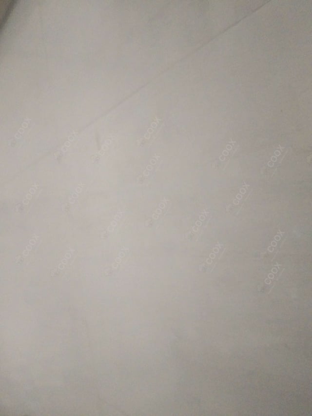 Delicious Tandoori Pineapple prepared by COOX