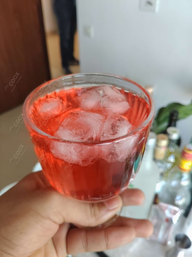 Delicious Negroni prepared by COOX