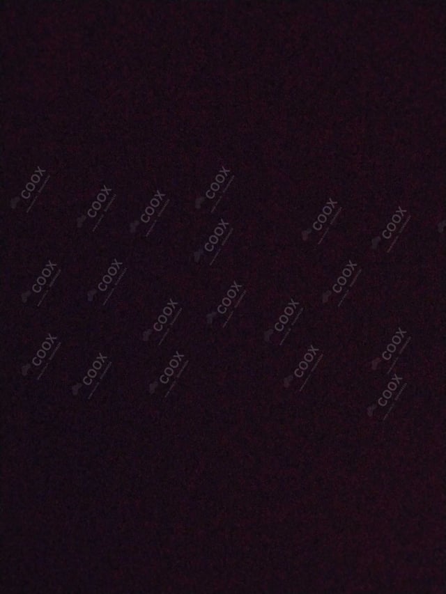 Happy Moment by COOX