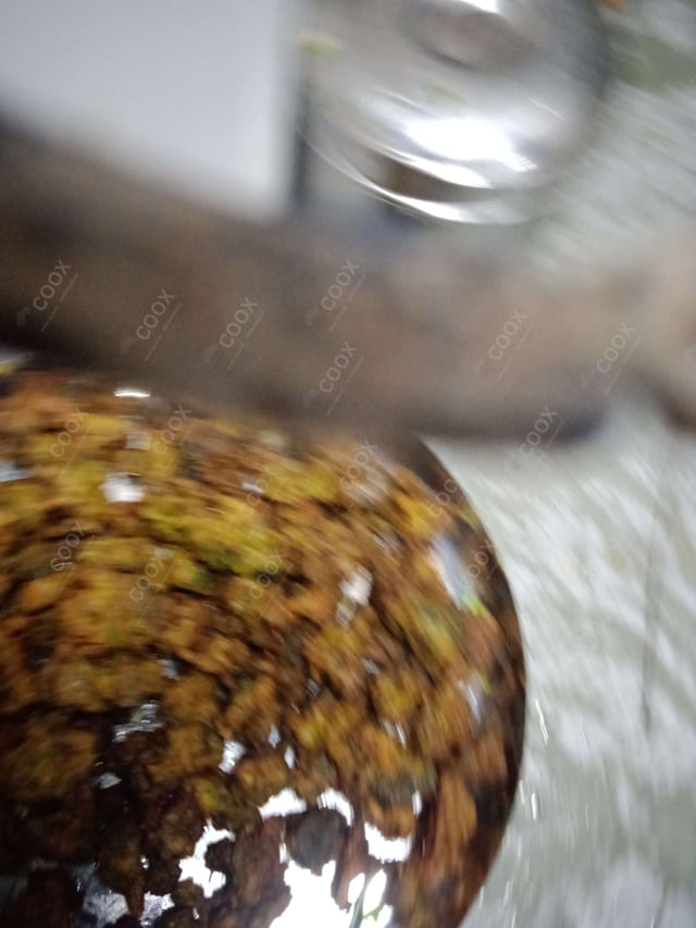 Delicious Masala Broccoli prepared by COOX