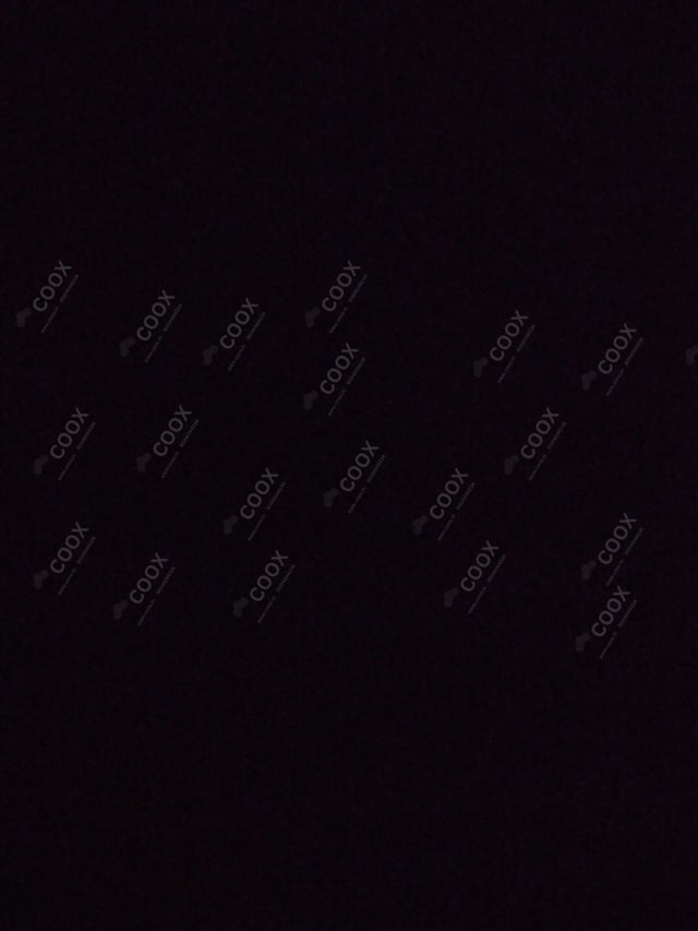 Delicious Mini Samosas prepared by COOX