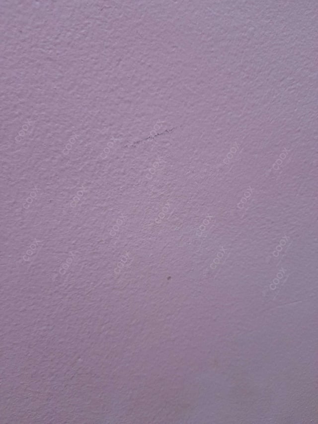 Delicious Macaroni Salad prepared by COOX