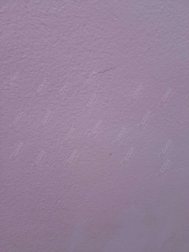 Delicious Chilli Garlic Noodles prepared by COOX