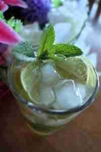 Tasty Mojito cooked by COOX chefs cooks during occasions parties events at home