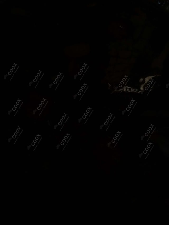 Delicious Veg Manchurian (Gravy) prepared by COOX