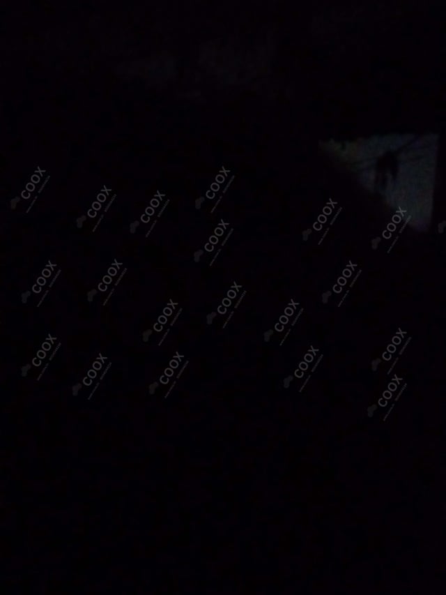 Delicious Veg Taco prepared by COOX