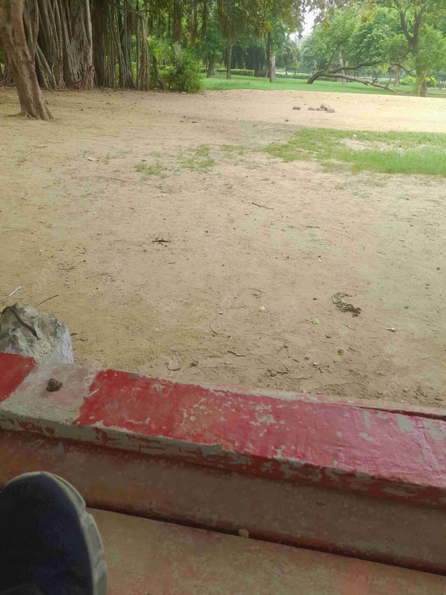 Tasty Margherita Pizza cooked by COOX chefs cooks during occasions parties events at home