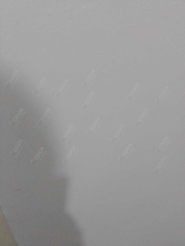 Happy Moment by COOX