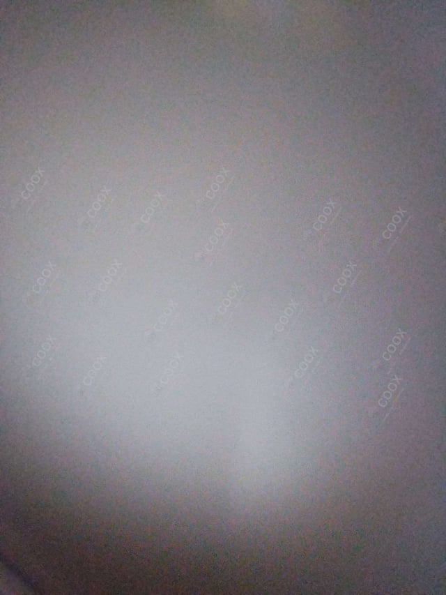 Tasty Veg Burritos cooked by COOX chefs cooks during occasions parties events at home