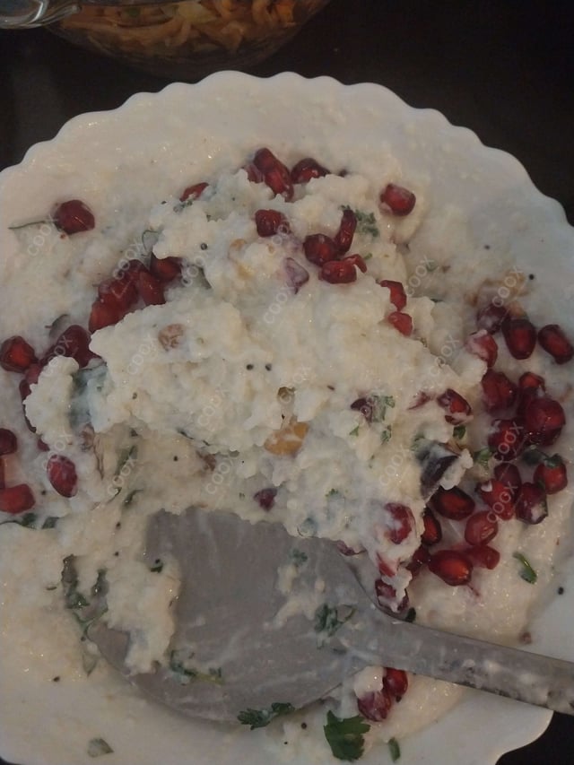 Tasty Curd Rice cooked by COOX chefs cooks during occasions parties events at home