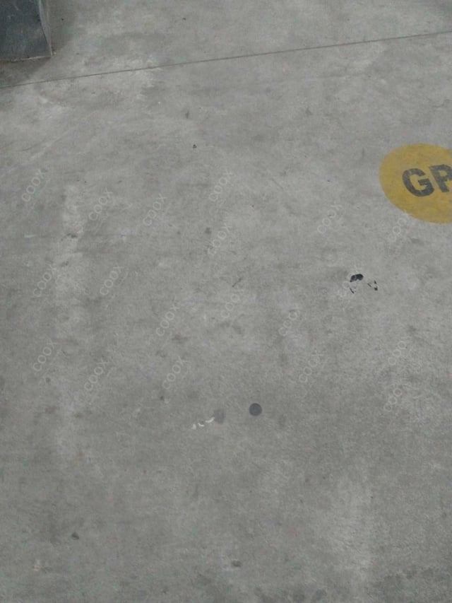 Happy Moment by COOX