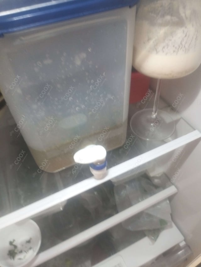 Delicious Virgin Mojito prepared by COOX