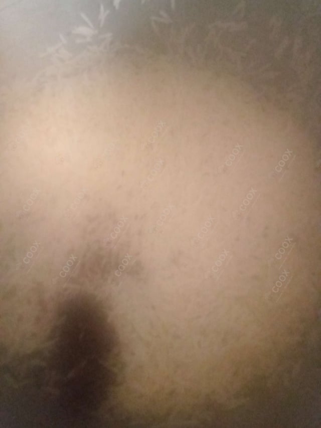 Delicious Jeera Rice prepared by COOX