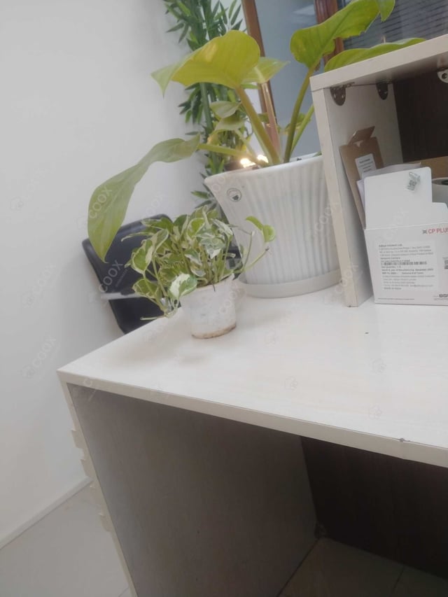 Happy Moment by COOX