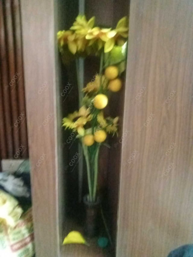 Happy Moment by COOX