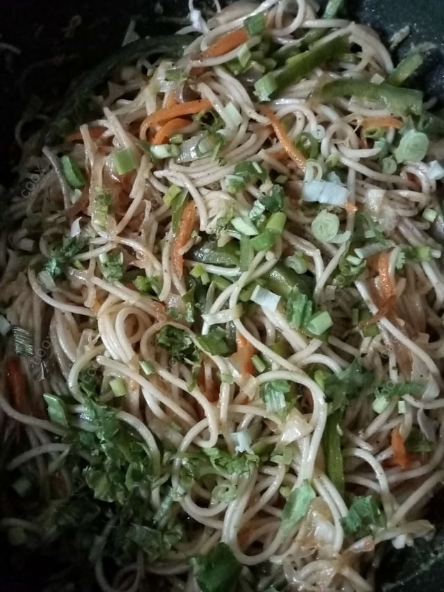 Delicious Veg Hakka Noodles prepared by COOX
