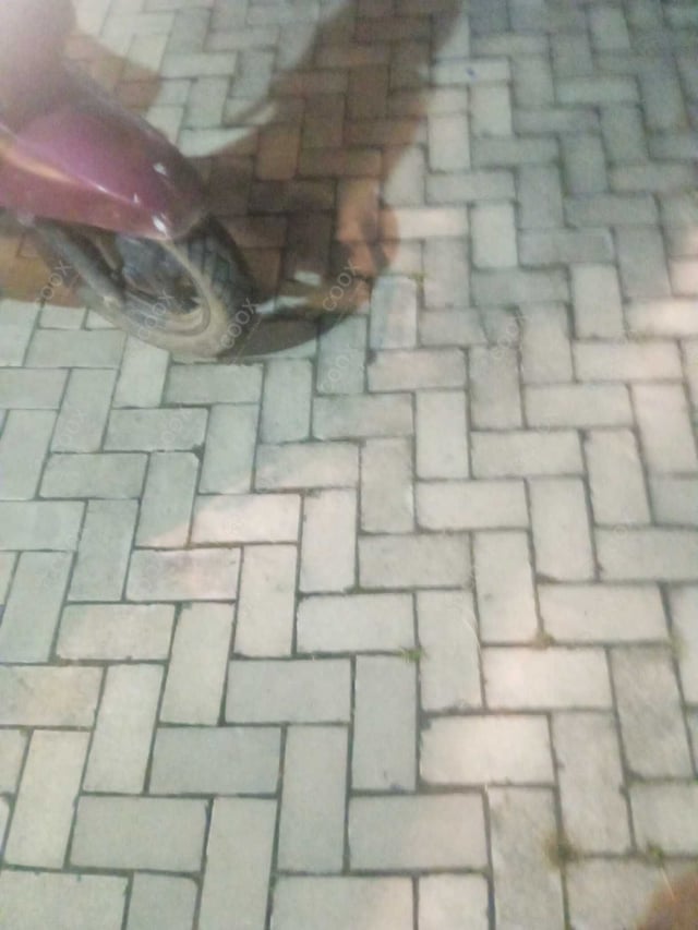 Happy Moment by COOX