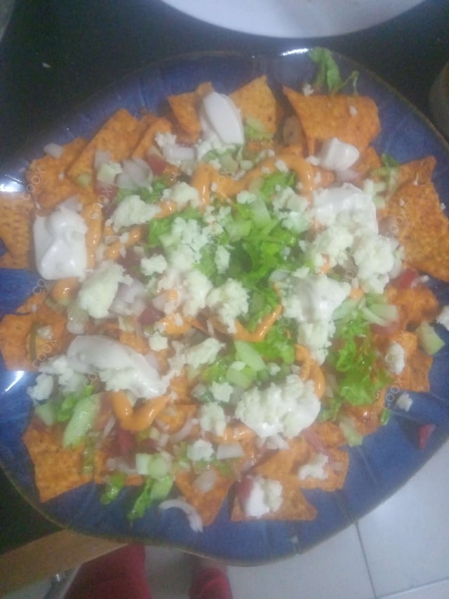 Delicious Cheese Nachos prepared by COOX