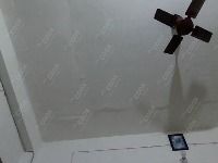 Chef from COOX at bookings. Professional cooks chefs at home